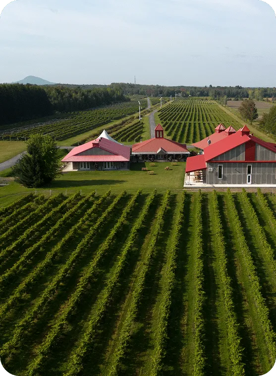 Vue aérienne d'un vignoble et de ses bâtiments aux toits rouges dans la région de Rouville